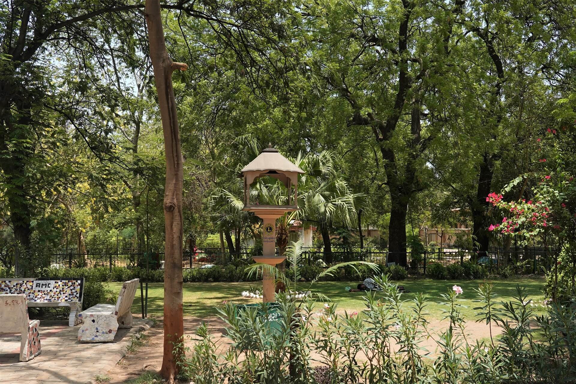 Usmanpura Garden, Ahmedabad - Nature